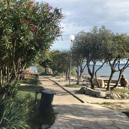 Andela * Petrčane
